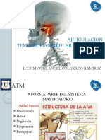 Articulacion Temporomandibular y Columna