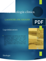 Lagochilascariasis