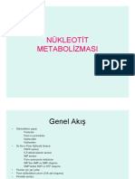 Nükleotit Metabolizması