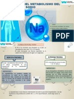 Trastornos Del Metabolismo Del Sodio