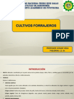 Introduc., Terminos y Estadistica Cultivos Forrajeros