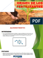Origen fertilizantes macronutrientes