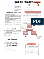 Resumo Doença de Chagas