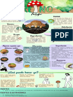 Infografías Reino Fungi