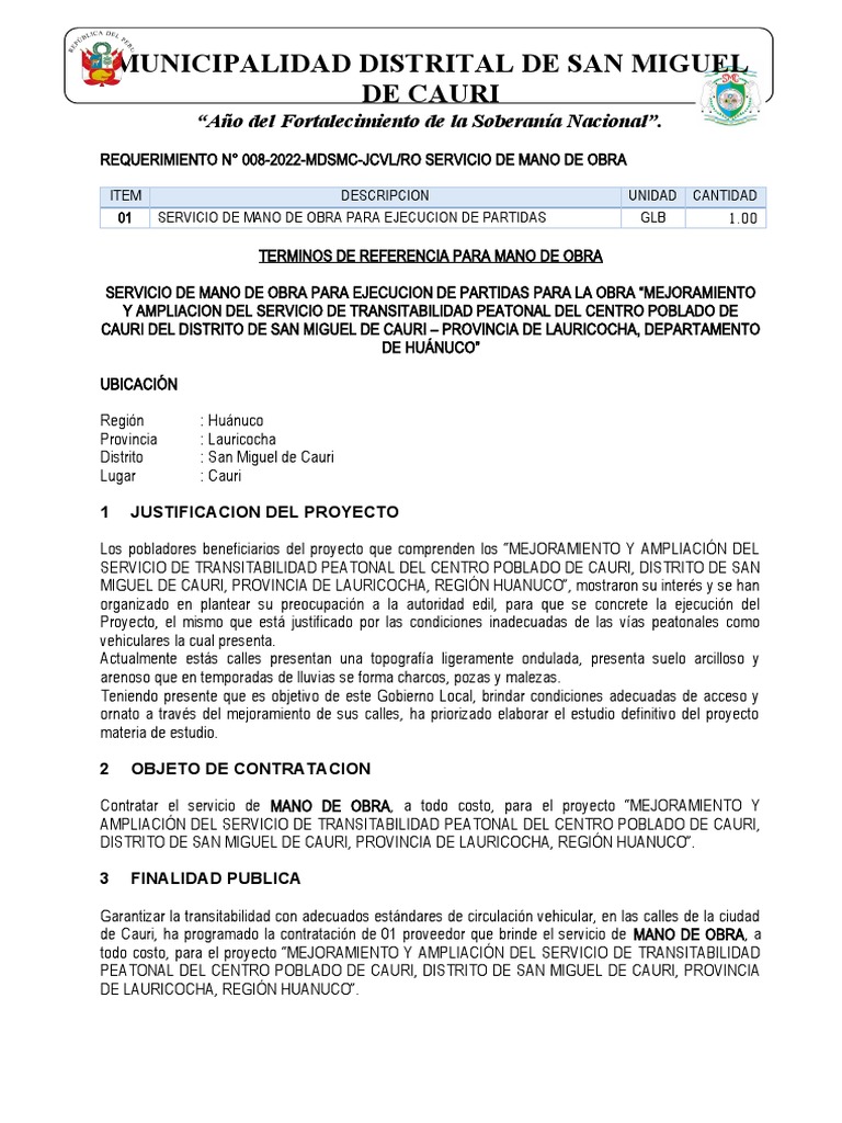 requerimiento-008-servicio-mano-de-obra-pdf