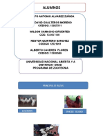 Informe Final Trabajo Practico 1 Sistemas de Produccion Avicola