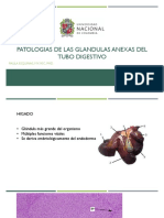 Patologias HIGADO Y PANCREAS