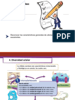 Célula Procarionte y Eucarionte