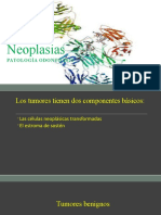 Neoplasias