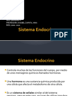 Sistema Endocrino