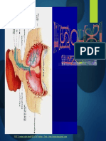 Fisiologipernapasan