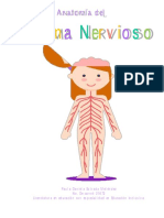 Anatomía Del Sistema Nervioso