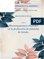 Microorganismos Eficientes en La Producción de Plántulas de Tomate