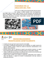 Exposición Microbiologíia