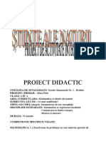 Proiect Didactic