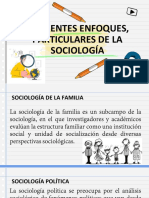 Campos de Estudio de La Sociología1