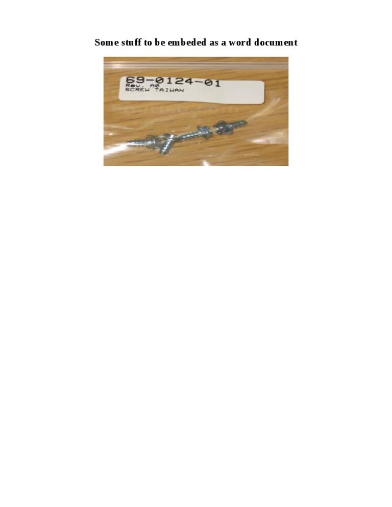 Word Test | PDF