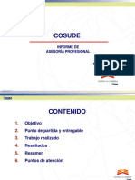 Informe Final COSUDE