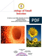 Histology of Small Intestine and Applied Histology