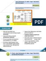 BAB 1 Sistem Reproduksi Manusia Pertemuan 2 Spermatogenesis, Oogenesis, Menstruasi Dan Fertilisasi