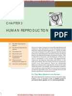 NCERT Class 12 Biology Human Reproduction