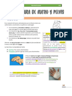 Fractura de Mano y Pelvis 2.0