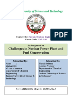 Fuel and Nuclear Engineering