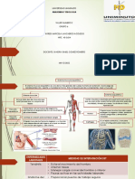 Actividad 2. Sistema Musculoesquelético