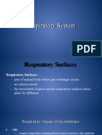 Respiratory System