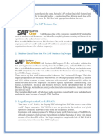Small Firms That Use SAP Business One:: Customer