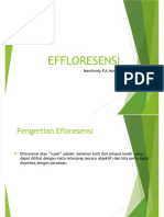 dokumen.tips_effloresensi dermatologi