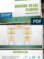 Práctica N 12 Reproducción Sexual y Asexual en Las Plantas