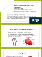 Resumen Cardio