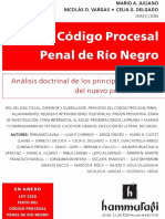 Nuevo Codigo Procesal de Rio Negro. 2017. Juliano. Vargas. Delgado