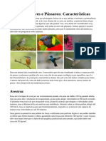 Tudo Sobre Aves e Pássaros - Características