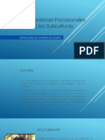 Caracteristicas Psicosociales Subculturas