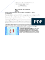 Hormonas Que Se Producen en El Riñón o La Médula Suprarrenal