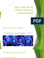 Células Madre en Estomatología