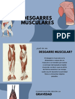 Desgarros Musculares