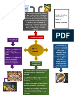 Tipos de Vitaminas