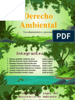 Pp-G-3-Sección A Derecho Ambiental