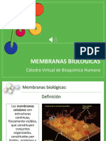 MEMBRANAS BIOLOGICAS 2021