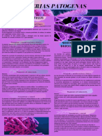 Bacterias patógenas Bordetella pertussis y sus características