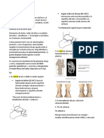 Fractura de Calcáneo