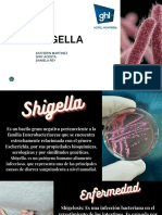 Shigella