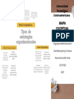 Tipos de Estrategias Organizacionales: Mapa Coceptual