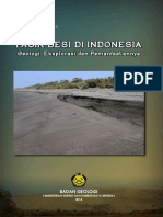 2. Pasir Besi Di Indonesia