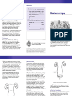 Ureteroscpy 1