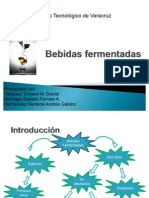 Bebidas fermentadas VTR