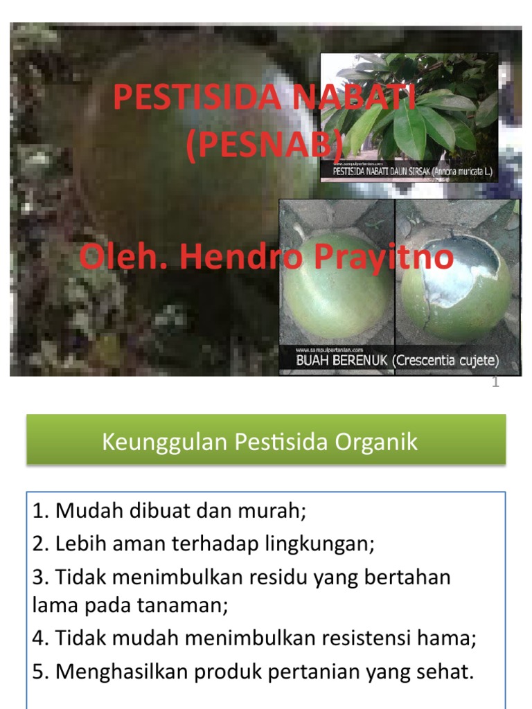 Pestisida Nabati Pdf